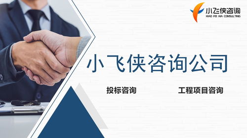 河南小飛俠企業管理咨詢 專業服務助力企業高效發展
